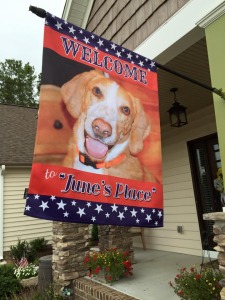 Personalized Dog House Flag